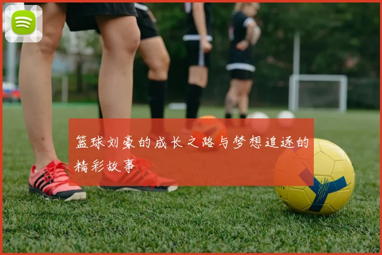 篮球刘豪的成长之路与梦想追逐的精彩故事