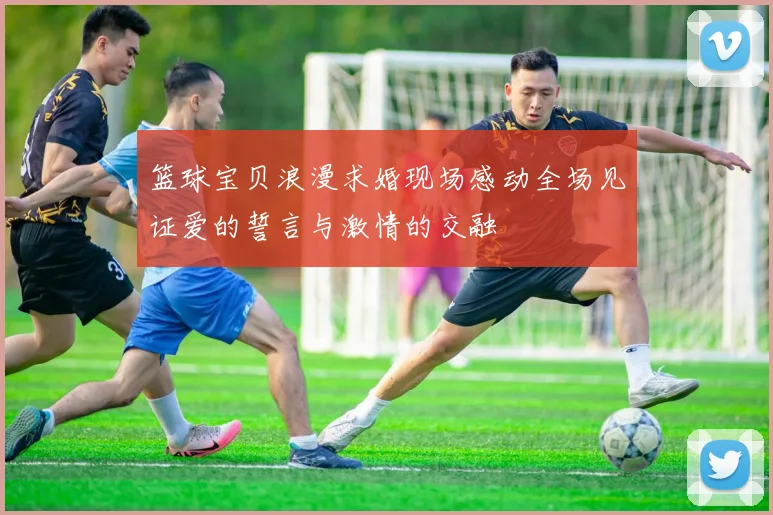 篮球宝贝浪漫求婚现场感动全场见证爱的誓言与激情的交融