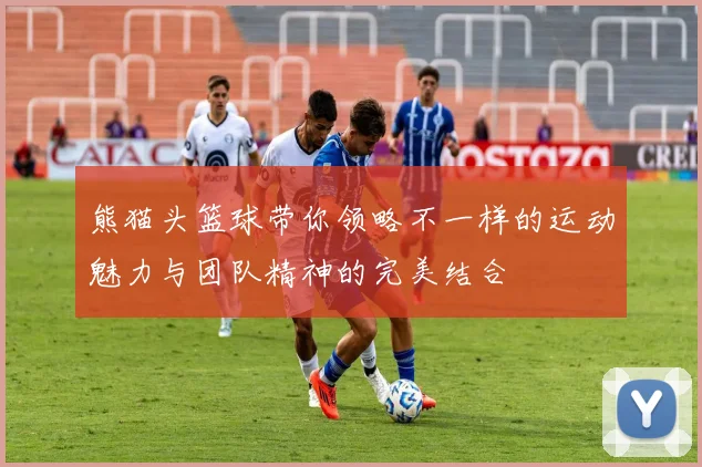 熊猫头篮球带你领略不一样的运动魅力与团队精神的完美结合