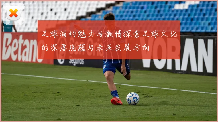 足球浦的魅力与激情探索足球文化的深厚底蕴与未来发展方向