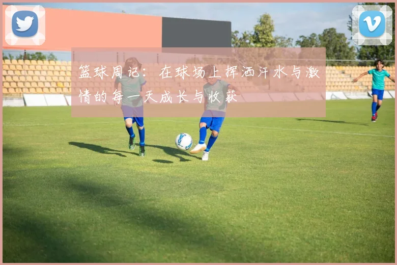 篮球周记：在球场上挥洒汗水与激情的每一天成长与收获