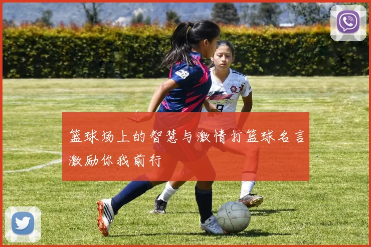 篮球场上的智慧与激情打篮球名言激励你我前行