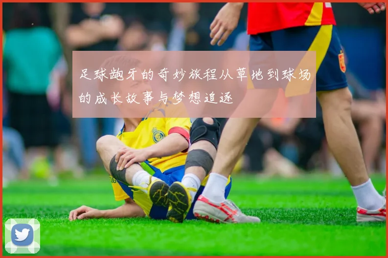 足球龅牙的奇妙旅程从草地到球场的成长故事与梦想追逐