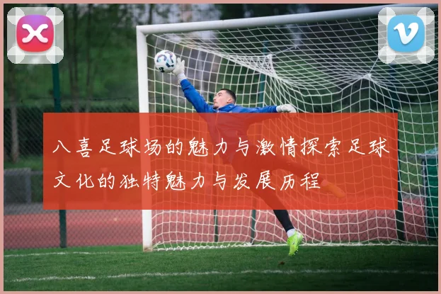 八喜足球场的魅力与激情探索足球文化的独特魅力与发展历程